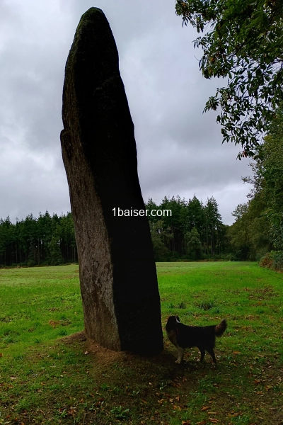 Disponible le soir et le weekend 