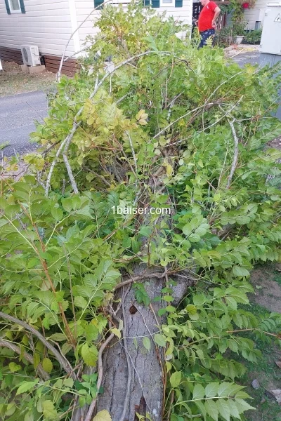 Escort in Béziers : Boys esct, Male (2/3)