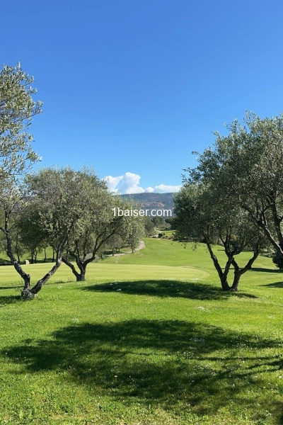 Theo — Escort Le Mans (1)