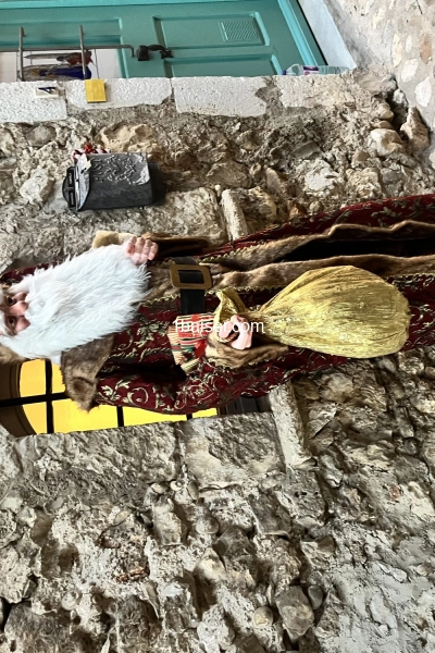 Amor Ghazi — Escort Cote d'Azur (1)