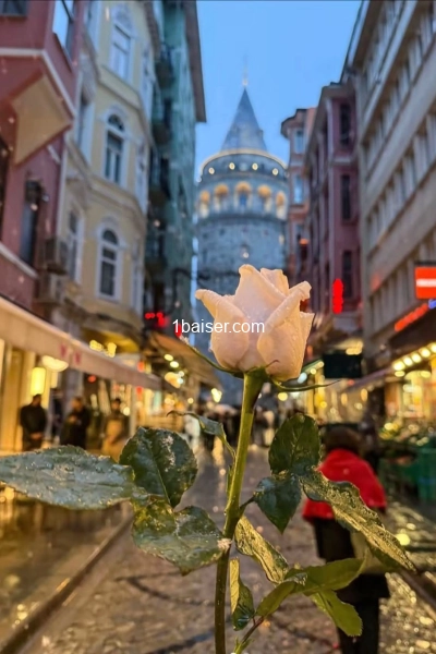Ahmed  — Escort Vosges (1)
