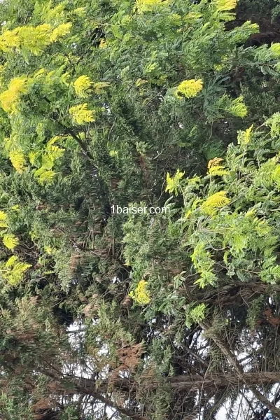 Escort in Bordeaux : Relation sérieuse, Male (2/3)