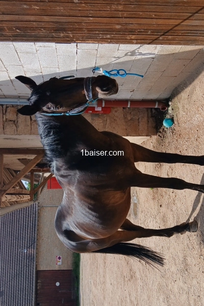 Max spécialité clito point G — Escort Saone et Loire (1)