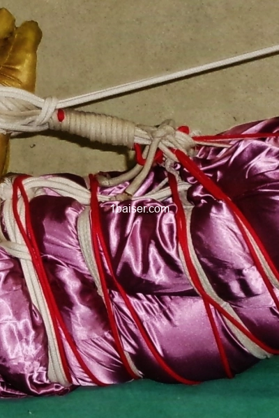 ligoté à vos pieds — Escort Colmar (1)