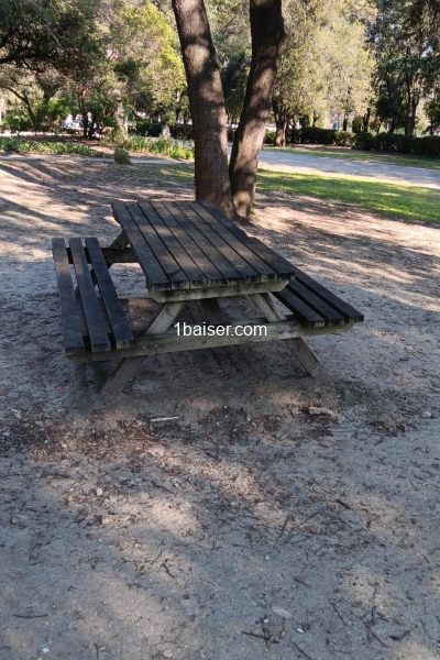 Lorenzo — Escort Avignon (1)