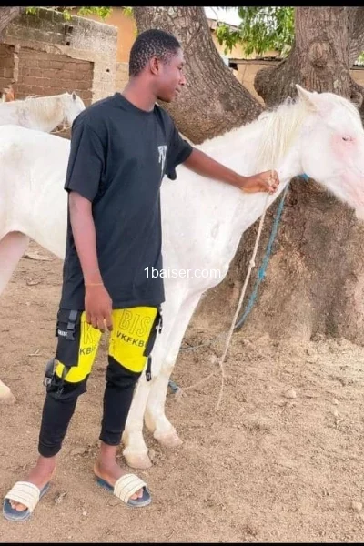 Escort à Paris : Bruno, Homme (2/3)