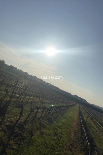 Cunnilingus — Escort Béziers (1)
