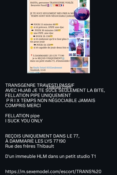 INDISPONIBLE  — Escort Allier (1)
