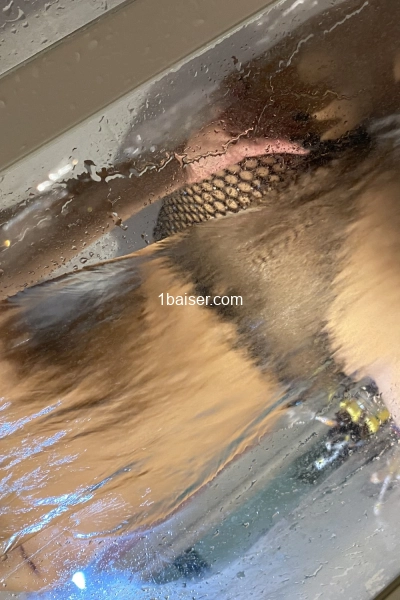 Brésilienne et fière de l’être 