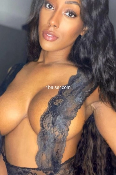 La rose de décembre 